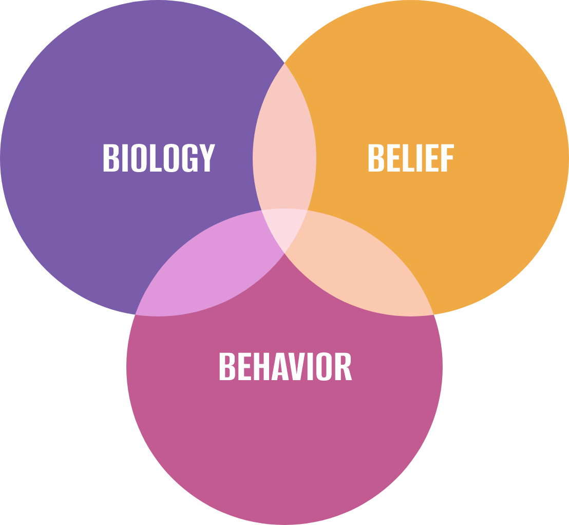 Ben’s Proprietary Framework