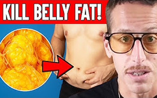 The World's Easiest Diet For Visceral Fat Reduction In 14 Days