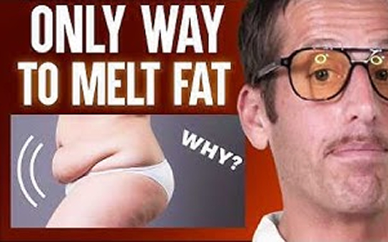Why Your Belly Fat Won’t Disappear... & The Simple 14-Day Protocol To Fix It
